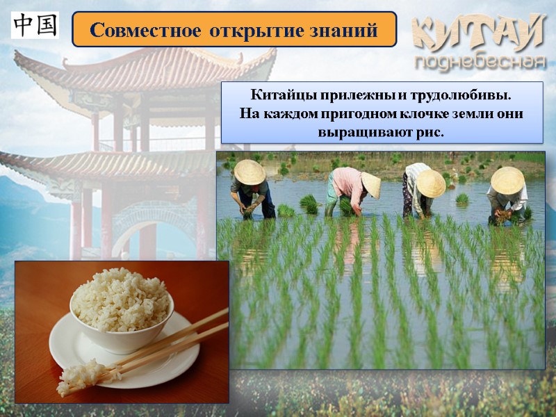 Совместное открытие знаний Китайцы прилежны и трудолюбивы.  На каждом пригодном клочке земли они